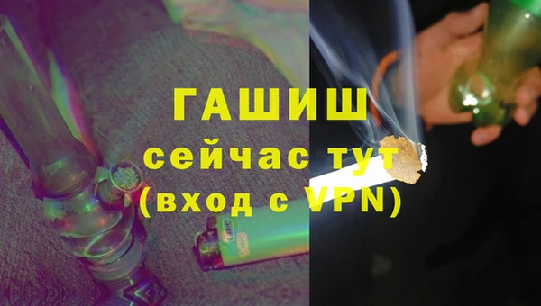 гашик Костерёво