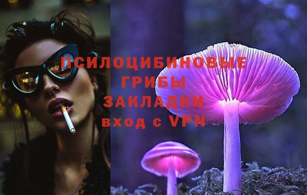 бошки Коряжма