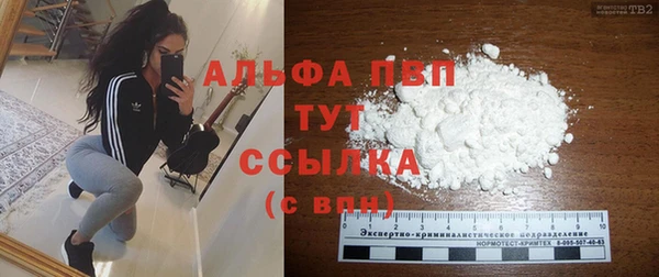 индика Кодинск