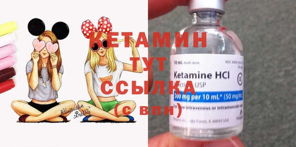 гашик Костерёво