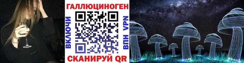 Галлюциногенные грибы Psilocybe  Бугуруслан 