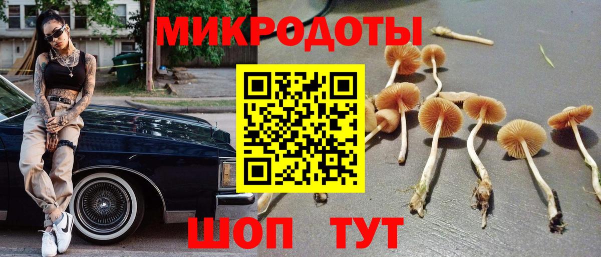 Галлюциногенные грибы Cubensis  Вход с VPN  Бугуруслан 