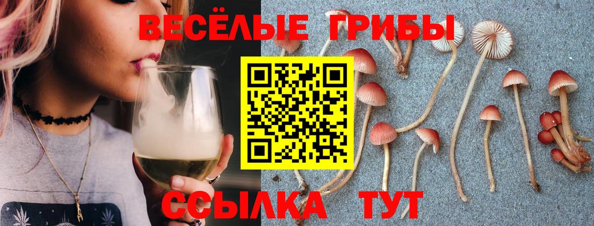 Псилоцибиновые грибы ЛСД Бугуруслан